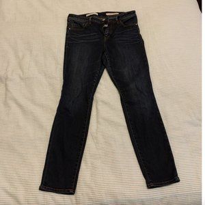 Anthropologie Pilcro Script Jeans Size 30